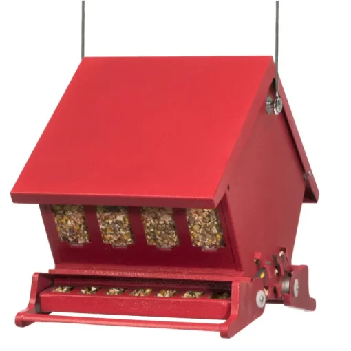 Absolute II Squirrel-Proof Hopper Bird Feeder, Mini, Holds 4-Lbs.