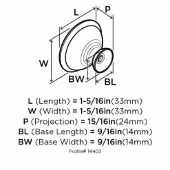 Amerock Allison Round Cabinet Knob 1-5/16 in. D 15/16 in. Brushed Chrome 10 pk