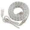Amertac Decorative Clear Rope Light 6 ft.