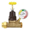 Apollo 3/4 in. FNPT Bronze Water Pressure Regulator with Gauge