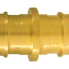 Apollo Expansion PEX / Pex A 3/4 in. Expansion PEX in to X 3/4 in. D PEX Brass Coupling