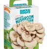 Back to the Roots All Season Fresh Windowsill Garden Organic Mushroom Mini Farm