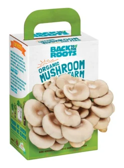 Back to the Roots All Season Fresh Windowsill Garden Organic Mushroom Mini Farm