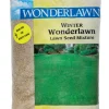 Barenbrug Winter Wonderlawn Italian/Perennial Ryegrass Sun/Shade Lawn Seed Mixture 10 lbs.