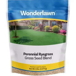 Barenbrug Wonderlawn Perennial Ryegrass Partial Shade/Sun Grass Seed 5 lb