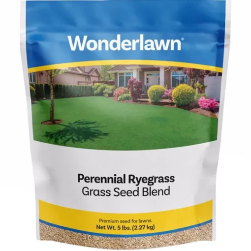 Barenbrug Wonderlawn Perennial Ryegrass Partial Shade/Sun Grass Seed 5 lb