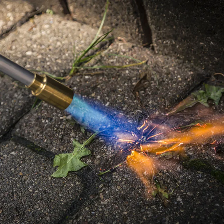 Bernzomatic Mag-Torch 36 in. L Backyard Outdoor Torch 16 oz.