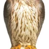 Bird-B-Gone Bird Deterrent Decoy 17 H in. for Red Tailed Hawks