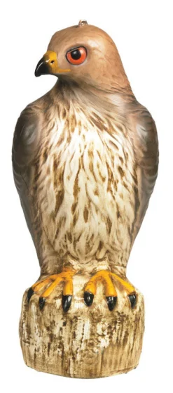 Bird-B-Gone Bird Deterrent Decoy 17 H in. for Red Tailed Hawks