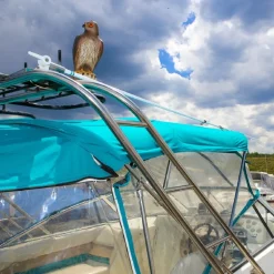 Bird-B-Gone Bird Deterrent Decoy 17 H in. for Red Tailed Hawks