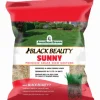 Black Beauty® Sunny Grass Seed 3 Lb