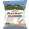Black Beauty® Texas Bluegrass Grass Seed 7 Lb