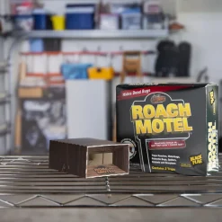 Black Flag Roach Motel Insect Trap (Pack of 12)