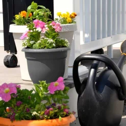 Bloem 12 in. Dia. Polyresin Ariana Planter Charcoal