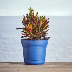 Bloem 10 in. Dia. Polyresin Saturn Planter Deep Sea