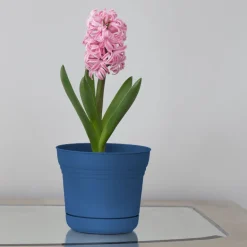 Bloem 10 in. Dia. Polyresin Saturn Planter Deep Sea