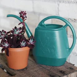 Bloem Aqua Rite Bermuda Teal 56 oz Plastic Watering Can