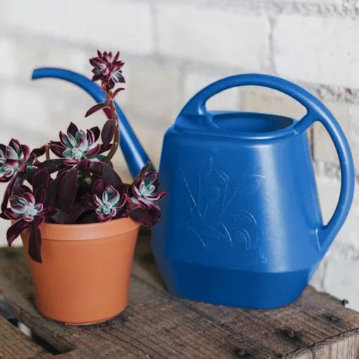 Bloem Aqua Rite Blue 56 oz. Plastic Watering Can
