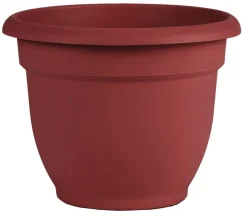 Bloem Ariana 10.25 in. H X 13 in. W X 12 in. D Plastic Traditional Planter Burnt Red