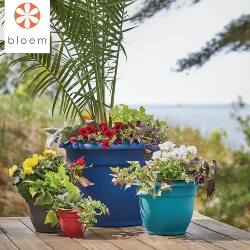 Bloem Ariana 10.25 in. H X 13 in. W X 12 in. D Plastic Traditional Planter Burnt Red