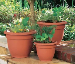 Bloem Ariana 13.75 in. H X 17.75 in. W X 17.75 in. D Plastic Traditional Planter Terracotta