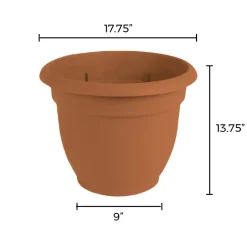 Bloem Ariana 13.75 in. H X 17.75 in. W X 17.75 in. D Plastic Traditional Planter Terracotta