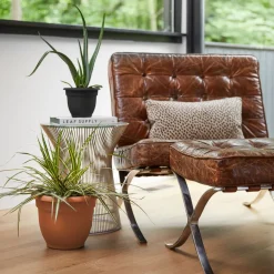 Bloem Ariana 13.75 in. H X 17.75 in. W X 17.75 in. D Plastic Traditional Planter Terracotta