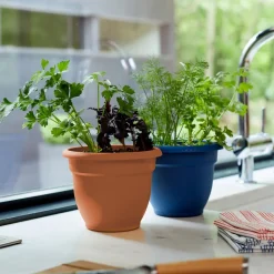 Bloem Ariana 13.75 in. H X 17.75 in. W X 17.75 in. D Plastic Traditional Planter Terracotta