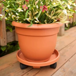 Bloem Ariana 13.75 in. H X 17.75 in. W X 17.75 in. D Plastic Traditional Planter Terracotta