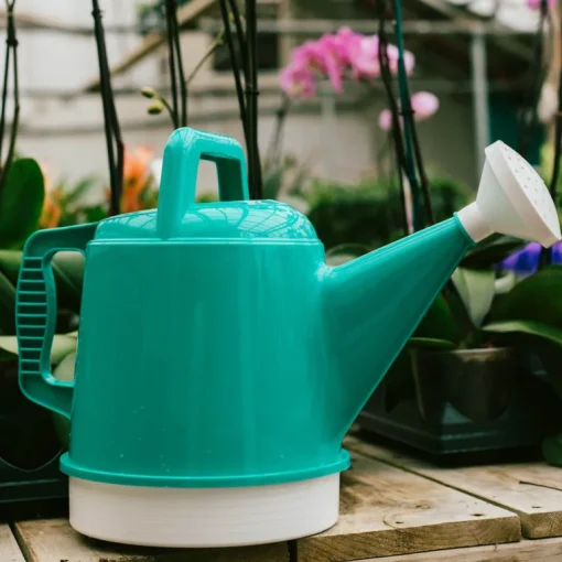 Bloem Deluxe Bermuda Teal 2.5 gal Plastic Watering Can