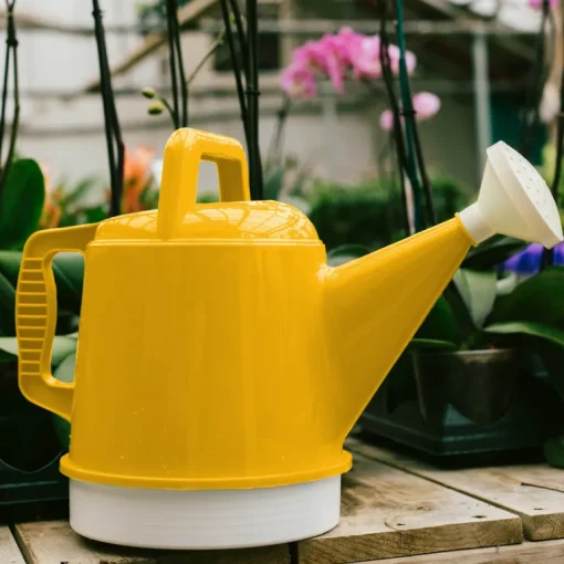 Bloem Deluxe Earthly Yellow 2.5 gal. Plastic Watering Can