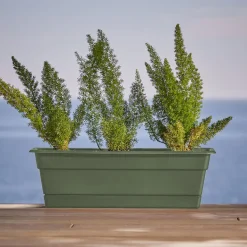 Bloem Dura Cotta 5.75 in. H X 18 in. W X 7.5 in. D Plastic Window Box Living Green