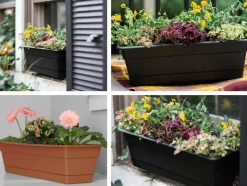 Bloem Dura Cotta 5.75 in. H X 18 in. W X 7.5 in. D Plastic Window Box Living Green