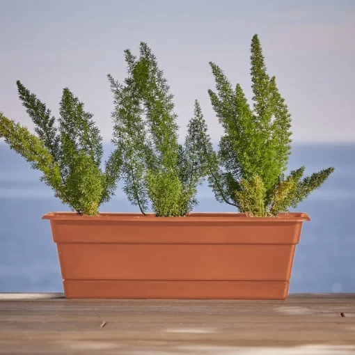 Bloem Dura Cotta 5.75 in. H X 24 in. W X 7.5 in. D Plastic Window Box Terra Cotta