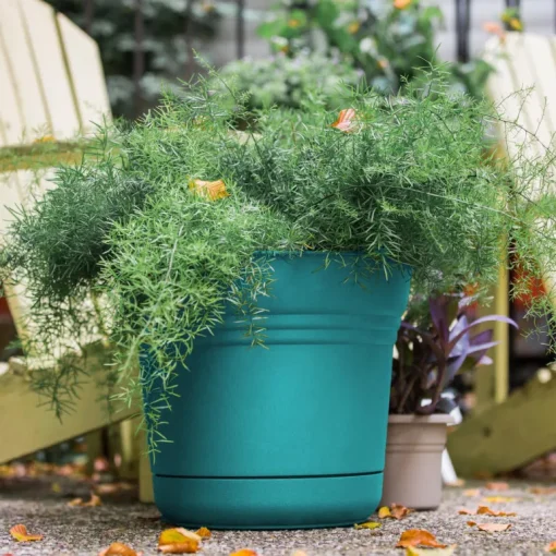 Bloem Saturn 10.75 in. H X 12.25 in. W Plastic Traditional Planter Bermuda Teal