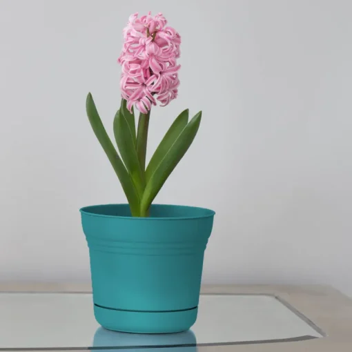 Bloem Saturn 10.75 in. H X 12.25 in. W Plastic Traditional Planter Bermuda Teal
