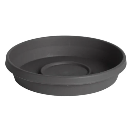 Bloem Terra 2.5 in. H X 13 in. W X 11.25 in. D Resin Traditional Plant Saucer Charcoal