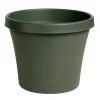 Bloem Terra 12.75 in. H X 15 in. W Resin Traditional Planter Living Green