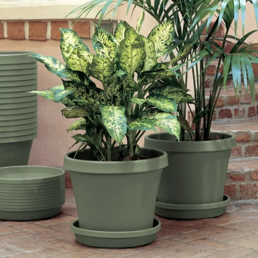 Bloem Terra 12.75 in. H X 15 in. W Resin Traditional Planter Living Green
