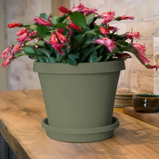 Bloem Terra 12.75 in. H X 15 in. W Resin Traditional Planter Living Green