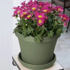 Bloem Terra 12.75 in. H X 15 in. W Resin Traditional Planter Living Green