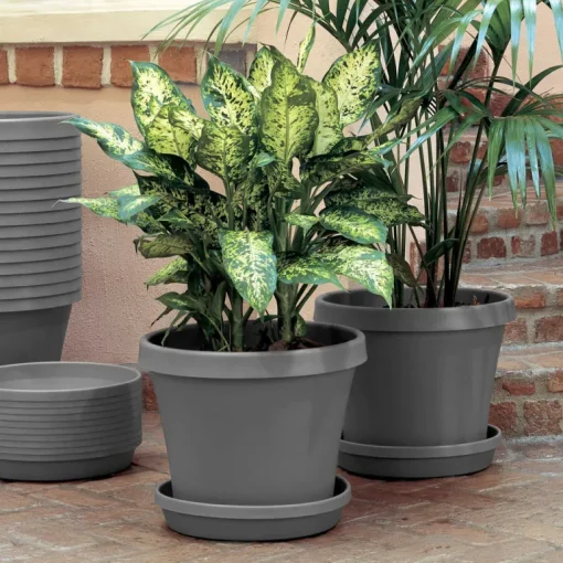 Bloem Terra 12.75 in. H X 15 in. W X 10.25 in. D Polyresin Traditional Planter Charcoal