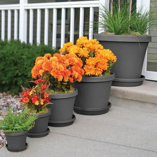 Bloem Terra 12.75 in. H X 15 in. W X 10.25 in. D Polyresin Traditional Planter Charcoal