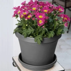 Bloem Terra 12.75 in. H X 15 in. W X 10.25 in. D Polyresin Traditional Planter Charcoal