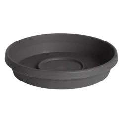 Bloem Terra 1.5 in. H X 7.5 in. W X 6.5 in. D Resin Traditional Plant Saucer Charcoal