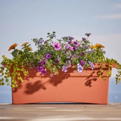 Bloem Terracotta Clay Resin Rectangular Veranda Planter 10 H x 12 W x 26.3 D in.