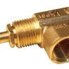 Blue Flame 0.5 in. Polished Brass Straight Valve Body