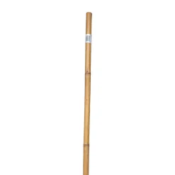 Bond 91146 6' X 1.25 Super Bamboo Poles (Pack of 10)