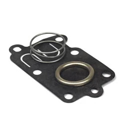 Briggs & Stratton Carburetor Kit 1 pk