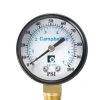 Campbell 2 in. Brass Pressure Gauge 100 psi